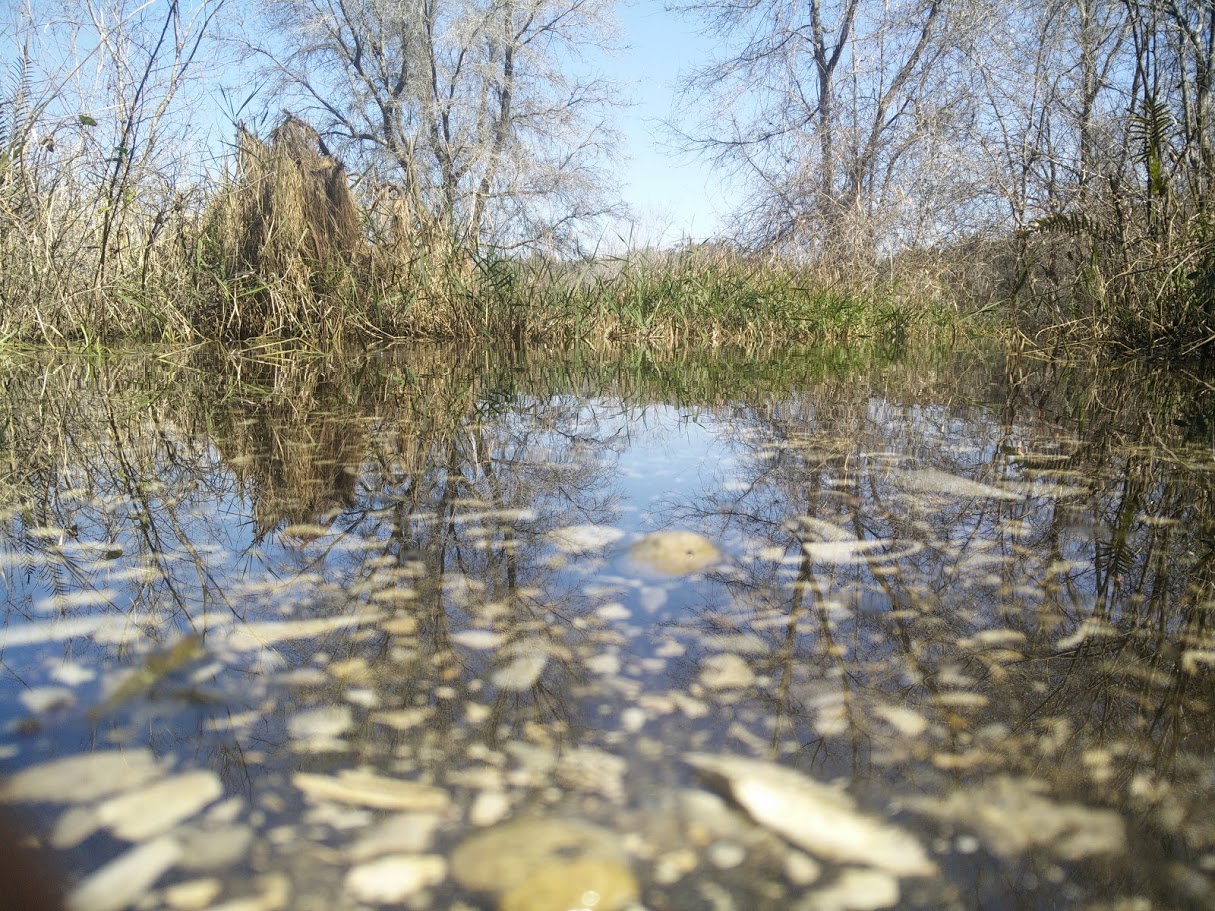 Ingress: A morning hike