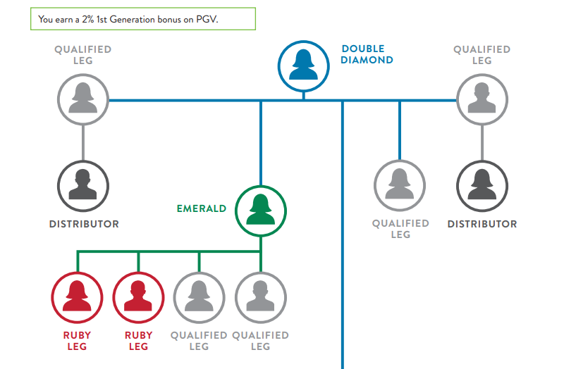 Mlm Hierarchy Chart