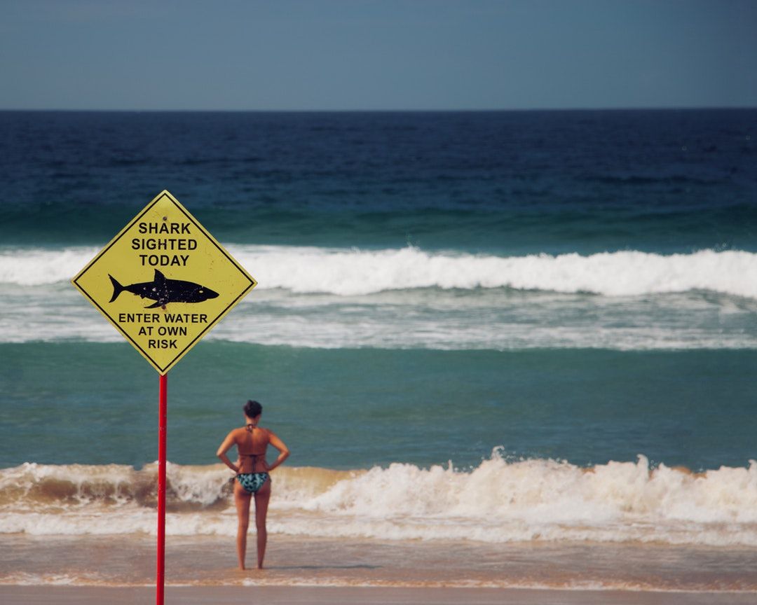 woman standing at beach beside shark signage