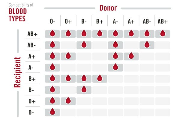Learning Blood Types