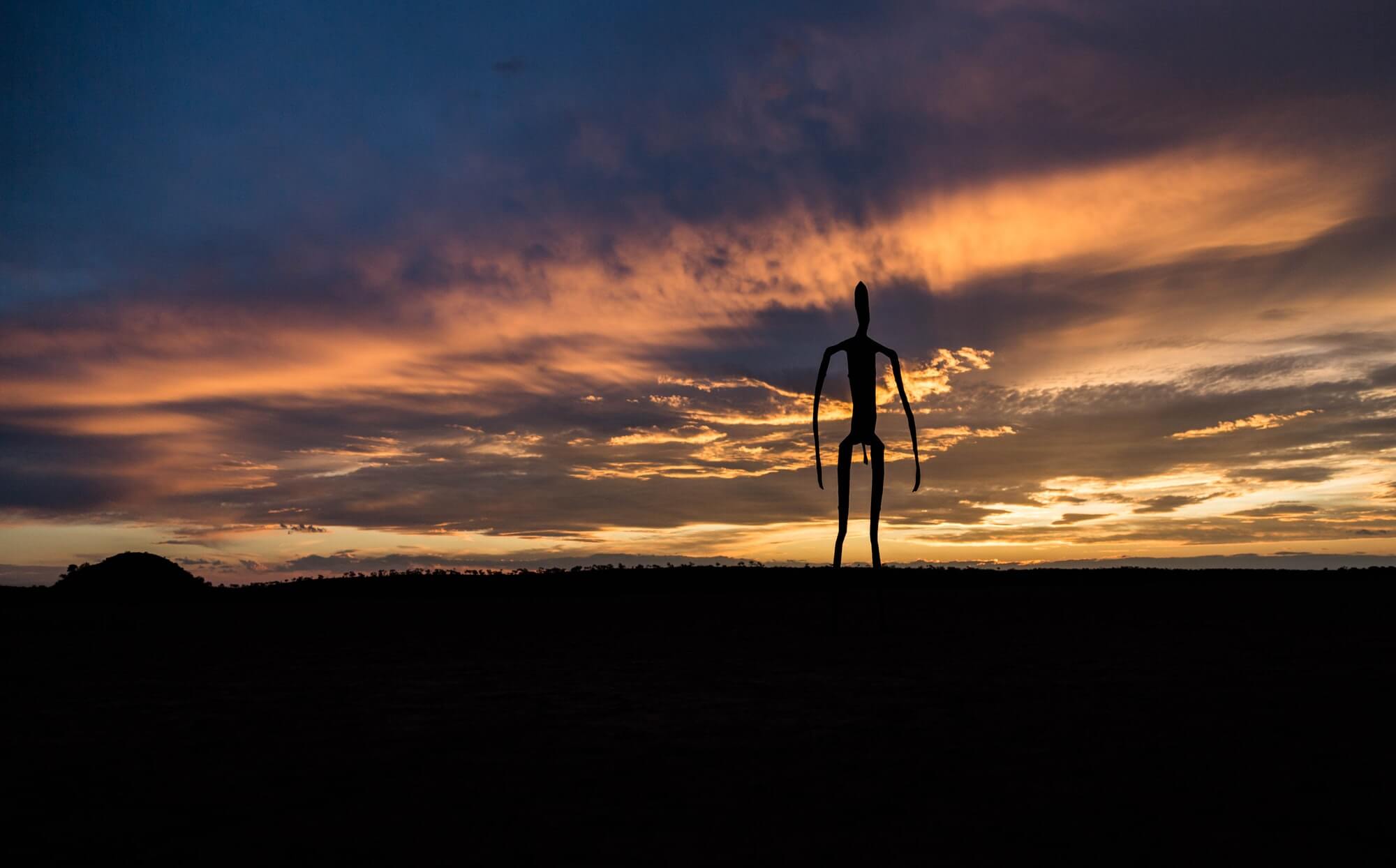 Antony Gormley did an extraordinary job in creating these sculptures in Lake Ballard Western Australia. Visions of aliens in an alien landscape came to mind.