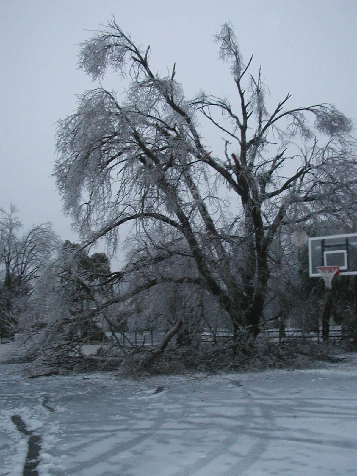 2002 Kansas Ice Storm