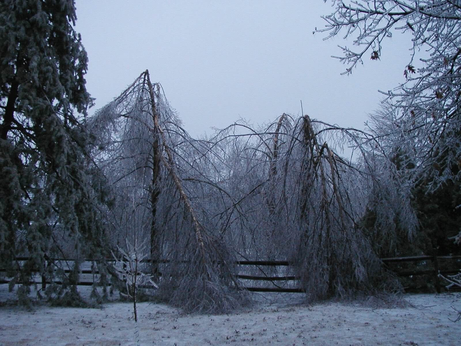 2002 Kansas Ice Storm