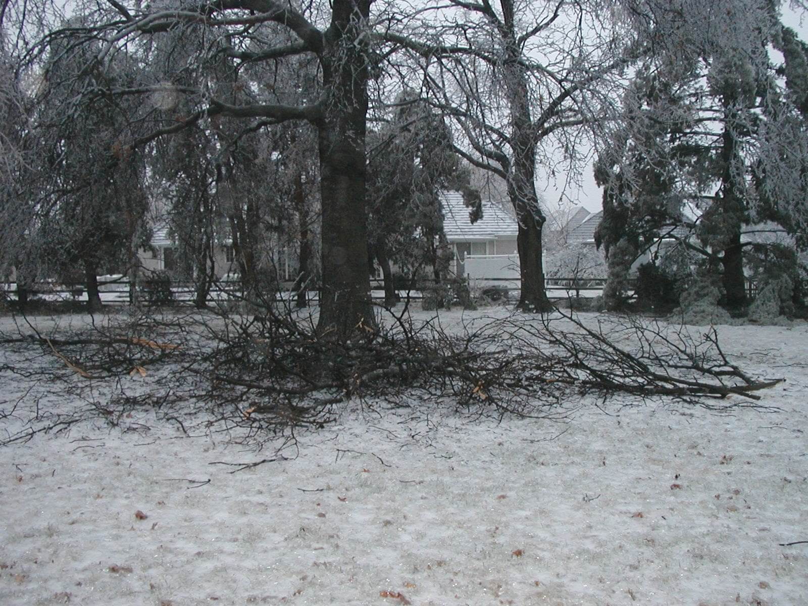 2002 Kansas Ice Storm