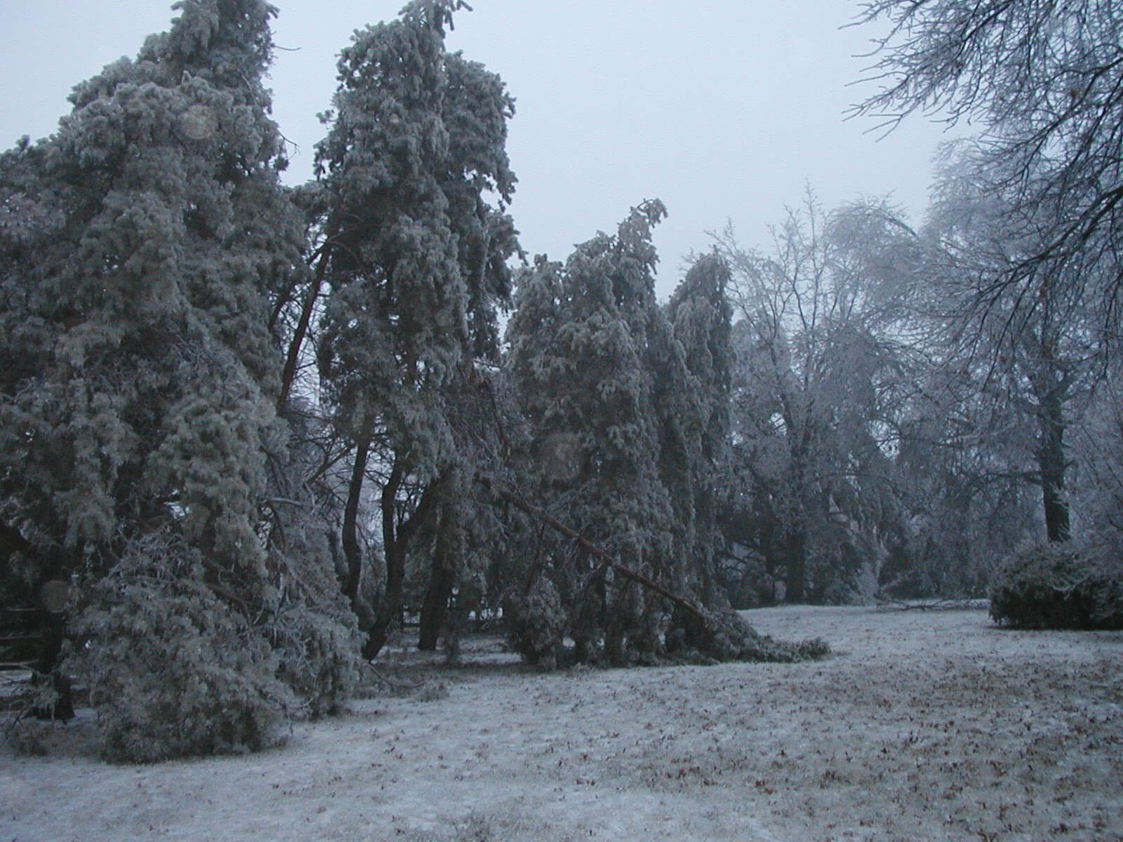 2002 Kansas Ice Storm