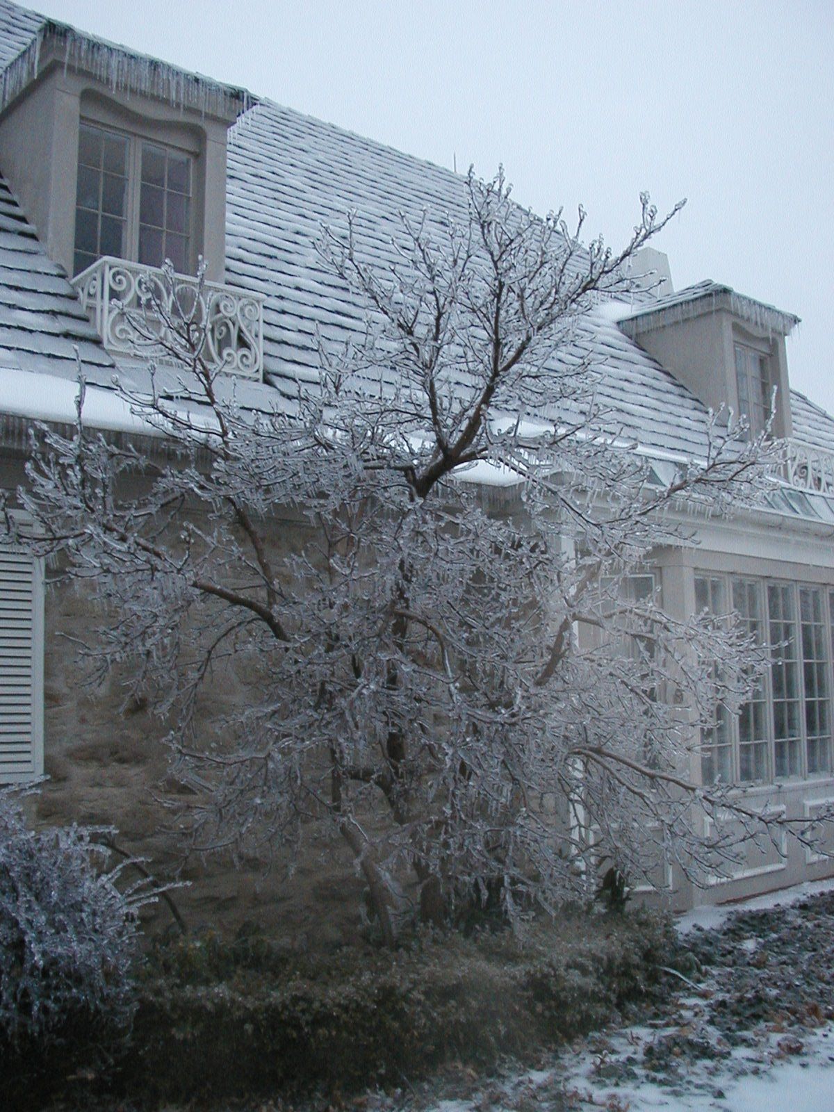 2002 Kansas Ice Storm