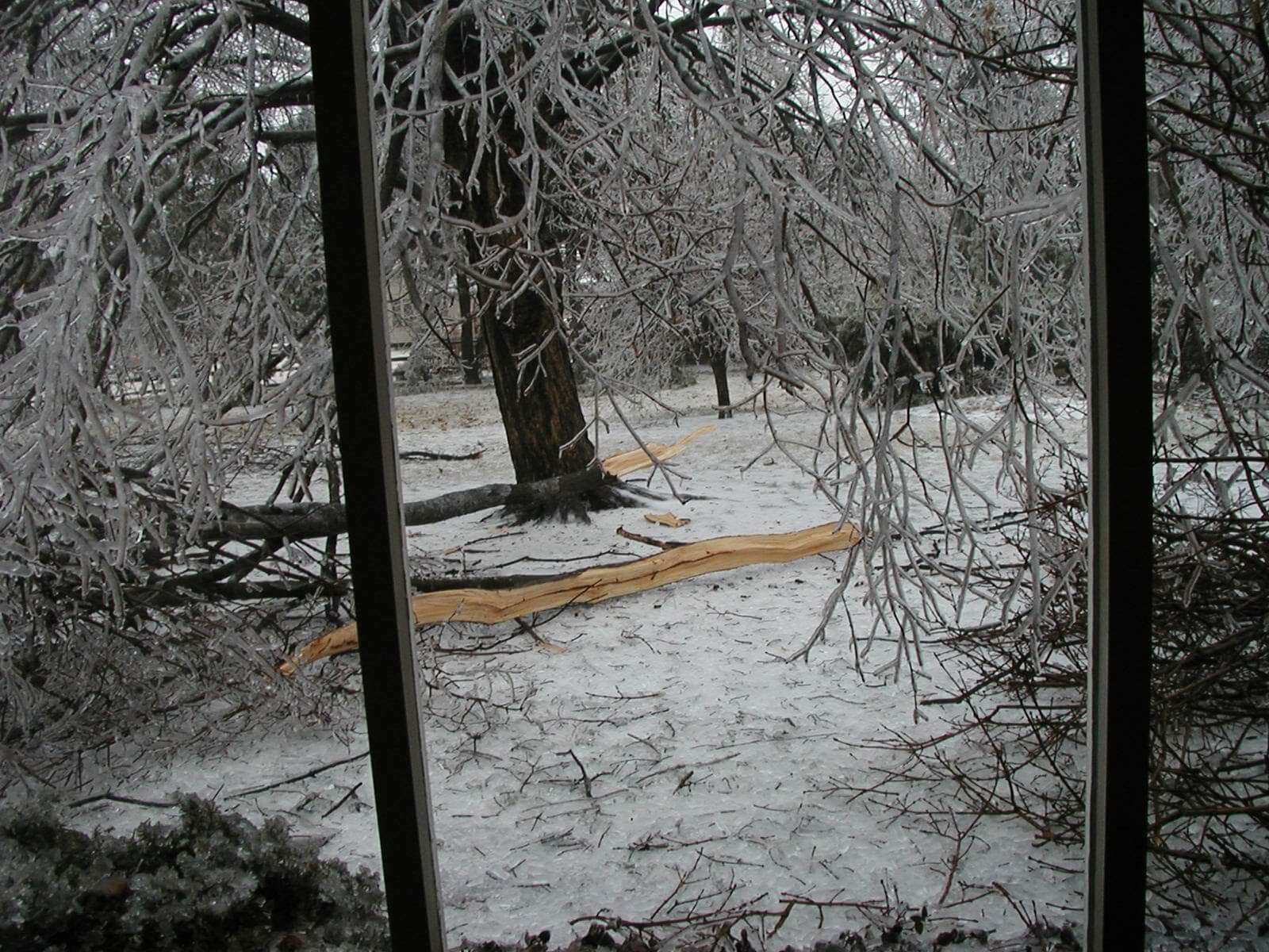 2002 Kansas Ice Storm