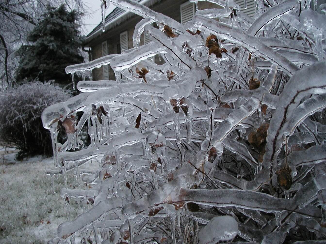 2002 Kansas Ice Storm