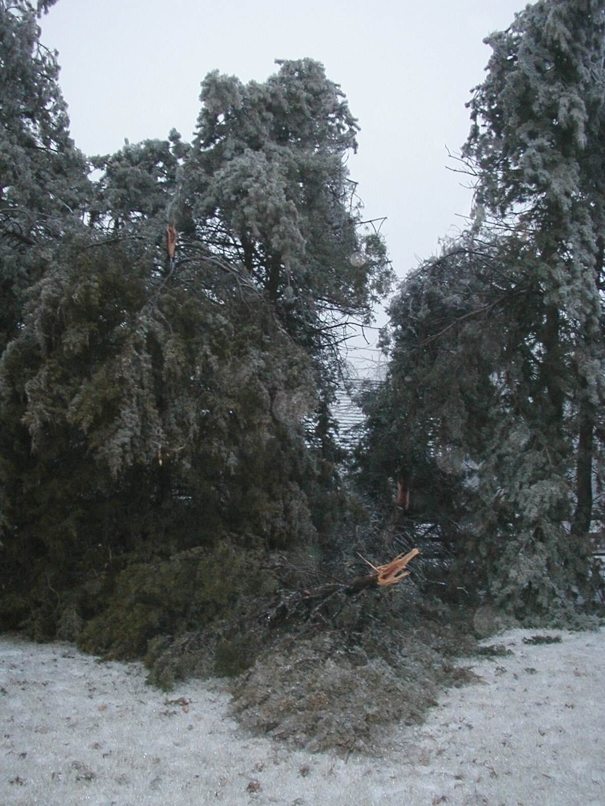 2002 Kansas Ice Storm