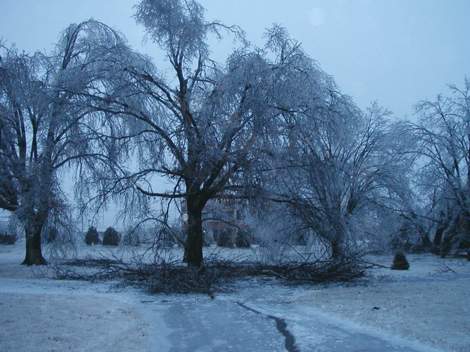 2002 Kansas Ice Storm