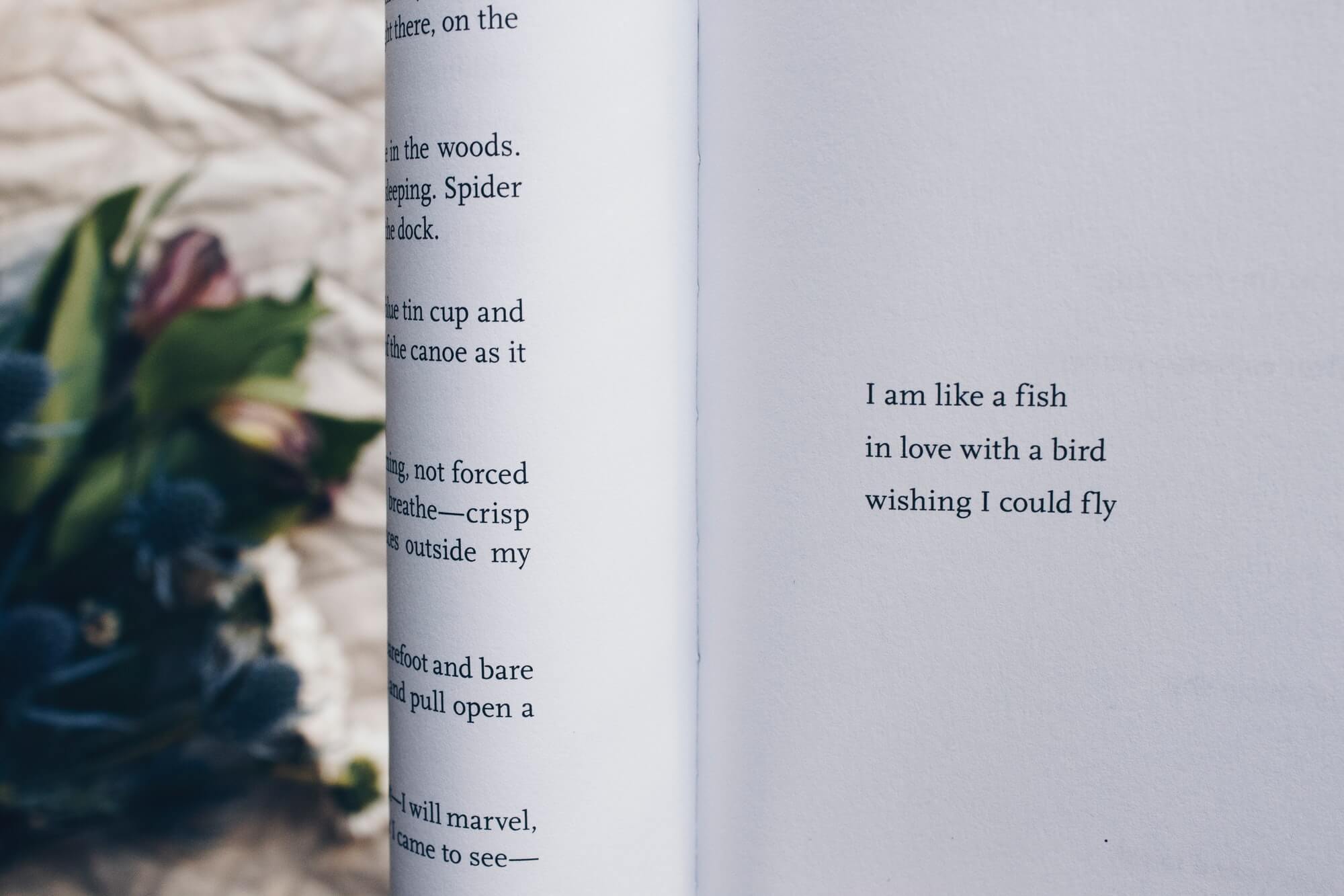 …wishing I could fly. Excerpt from the poetry collection “This Is For The Women Who Don’t Give A F*ck” by Janne Robinson. Published by Thought Catalog Books | ShopCatalog.com