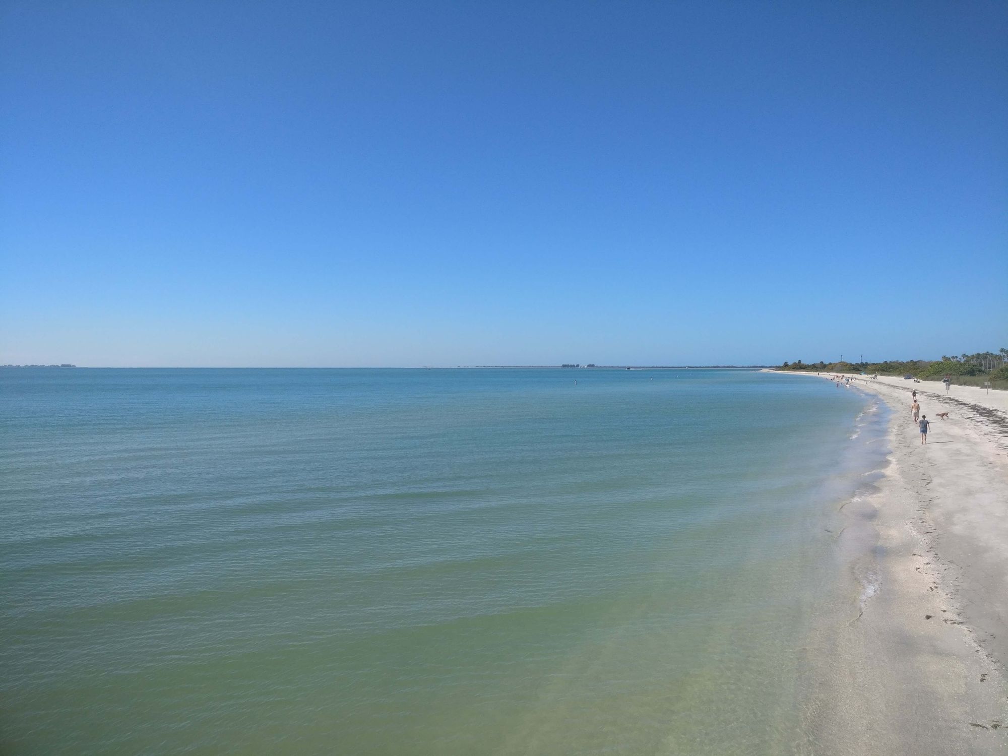 The Tampa Gulf Parks