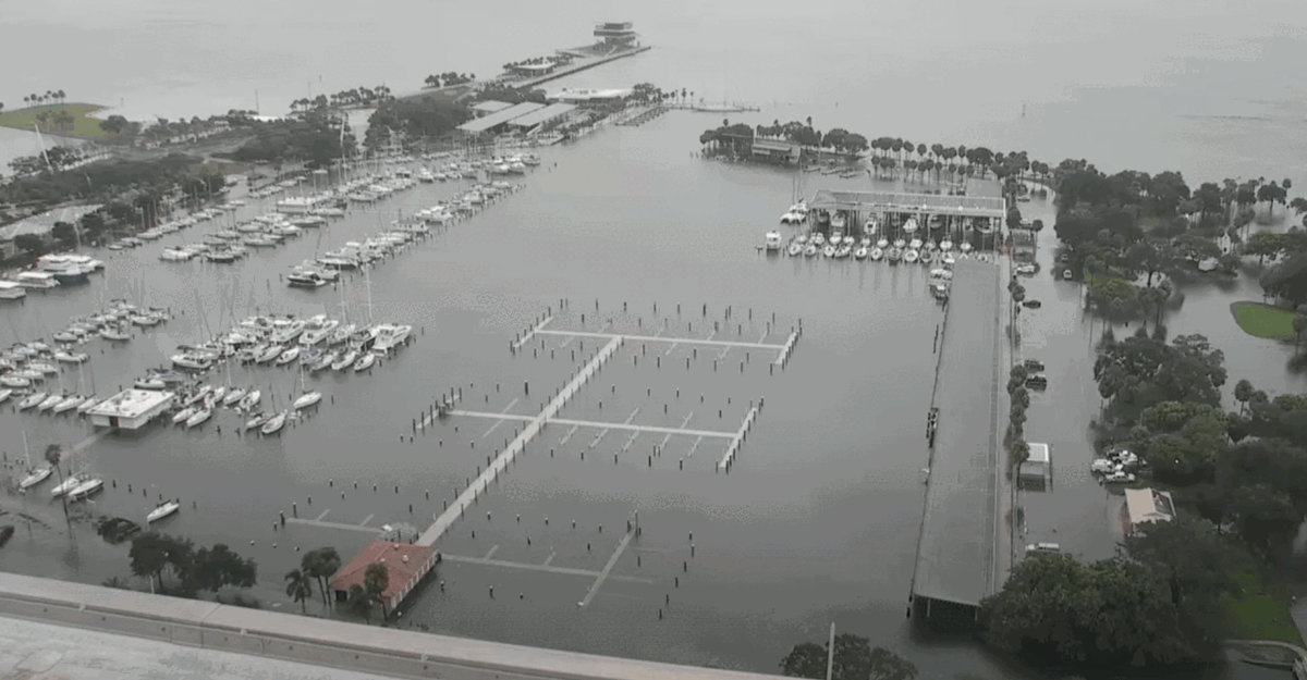 Hurricane Idalia & Tampa